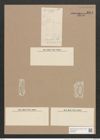 Amphora contracta Grun. (de-Toni-Nr.: Genus 36, Species 1546) Zeichnungen Sammlung Grunow Nr. 2971 (NHMW-BOT-W0370335)